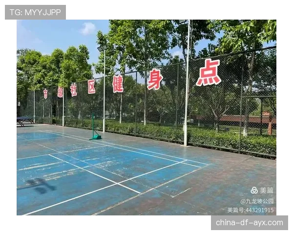 球场夜间商业活动社区反馈与优化建议合集，球场夜晚
